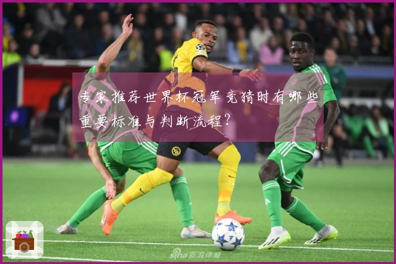 专家推荐世界杯冠军竞猜时有哪些重要标准与判断流程？