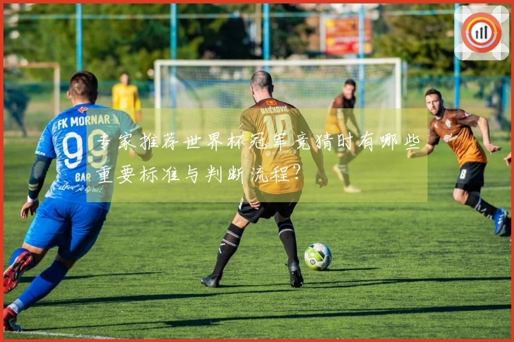 专家推荐世界杯冠军竞猜时有哪些重要标准与判断流程?