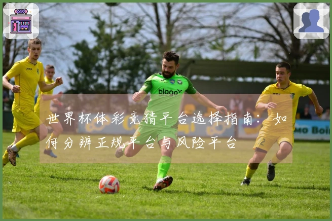 世界杯体彩竞猜平台选择指南:如何分辨正规平台与风险平台